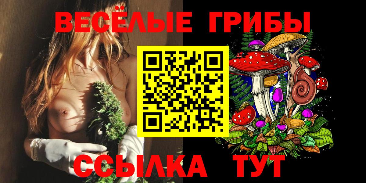 Северодвинск  Галлюциногенные грибы GOLDEN TEACHER  Вход с VPN 