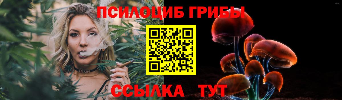 Галлюциногенные грибы Psilocybe Северодвинск